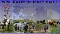 WYO Quarter Horse Sales, home of Pro Rodeo Hall of Fame Bill Smith -  Thermopolis Wyoming